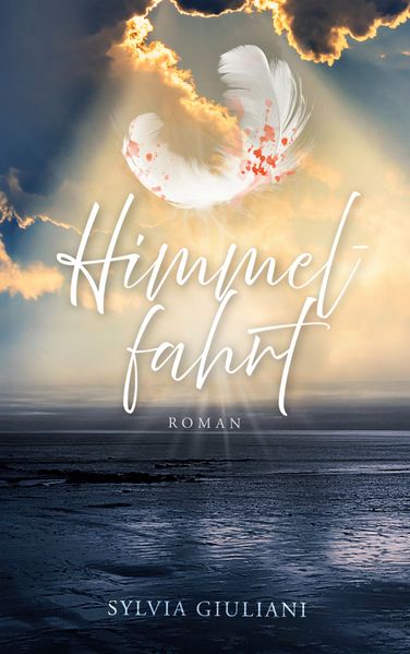 Cover von Himmelfahrt