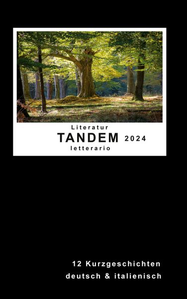 Cover von Literatur Tandem letterario 2024