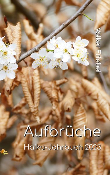 Cover von Aufbrüche