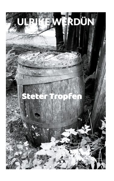 Cover von Steter Tropfen