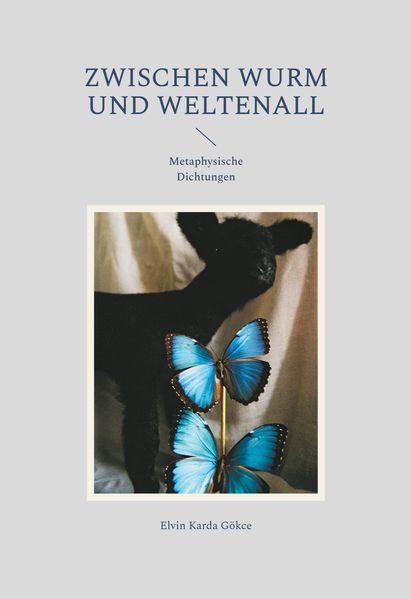 Cover von Zwischen Wurm und Weltenall