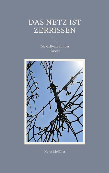 Cover von Das Netz ist zerrissen