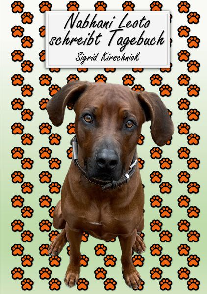 Cover von Nabhani Leoto schreibt Tagebuch