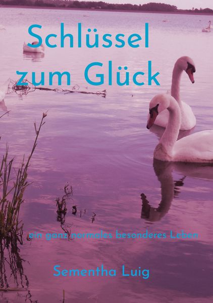 Cover von Schlüssel zum Glück