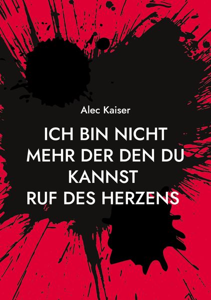Cover von Ich bin nicht mehr der den du kannst