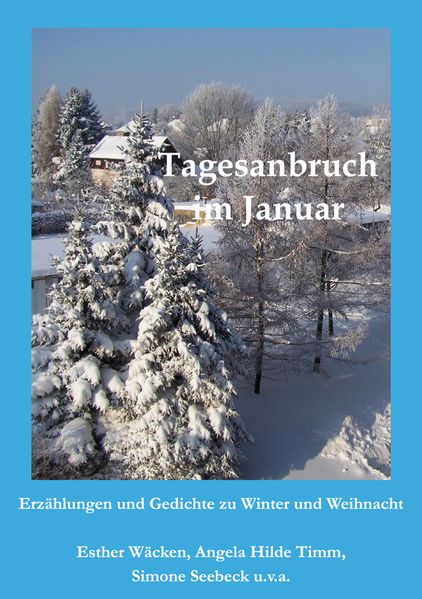 Cover von Tagesanbruch im Januar