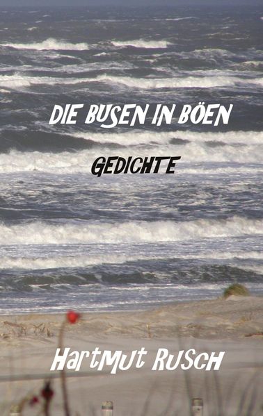 Cover von Die Busen in Böen