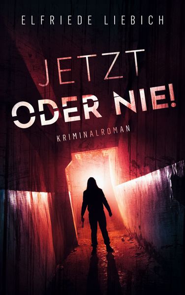 Cover von Jetzt oder nie!