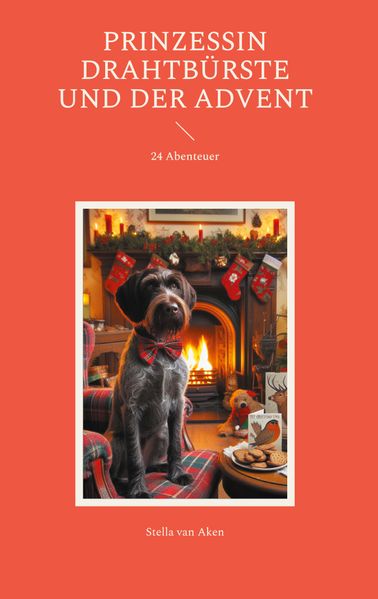 Cover von Prinzessin Drahtbürste und der Advent