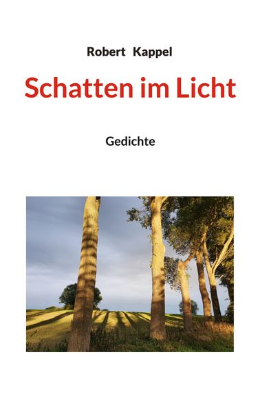 Cover von Schatten im Licht
