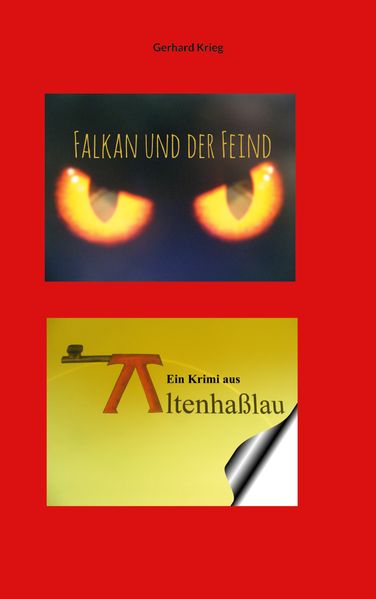 Cover von Falkan und der Feind
