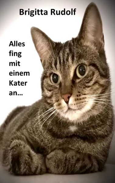 Cover von Alles fing mit einem Kater an