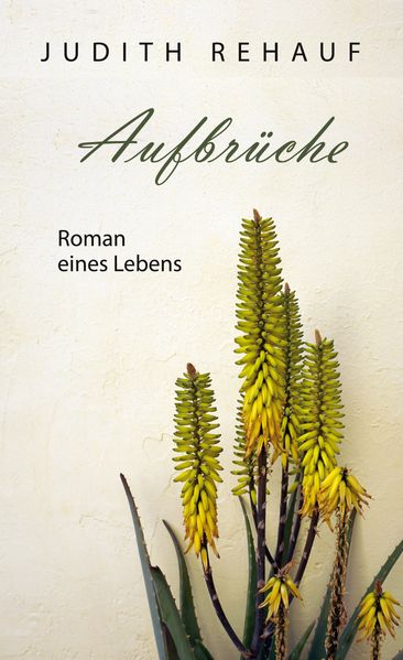 Cover von Aufbrüche