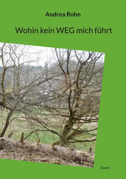 Cover von Wohin kein Weg mich führt