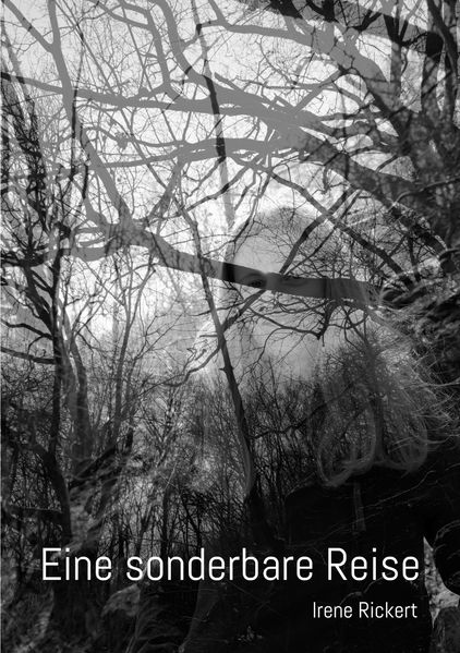 Cover von Eine sonderbare Reise