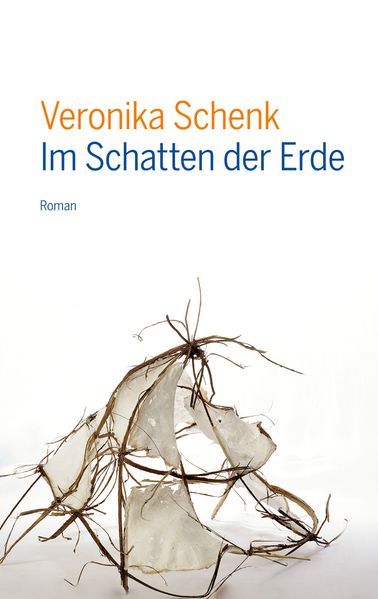 Cover von Im Schatten der Erde
