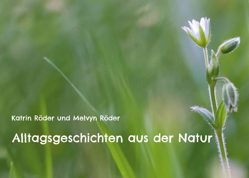 Cover von Alltagsgeschichten aus der Natur