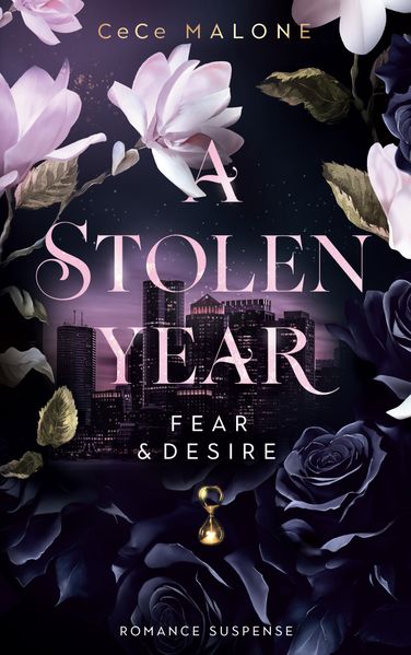 Cover von A stolen Year