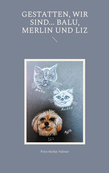 Cover von Gestatten, wir sind … Balu, Merlin und Liz