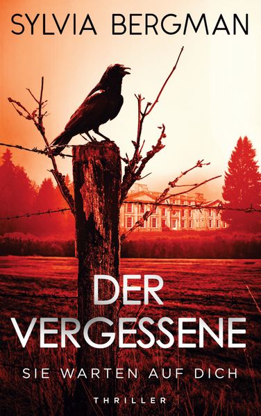Cover von Der Vergessene
