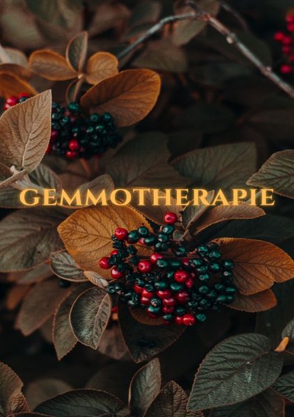 Cover von Gemmotherapie: Hilfe in der Naturheilkunde – BONUS Rezepte 2023 -: Die geheime Energie der Natur für ganzheitliche Gesundheit und Vitalität – SONDERAUSGABE