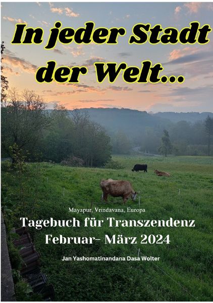 Cover von Transzendentale Tagebücher/In jeder Stadt der Welt