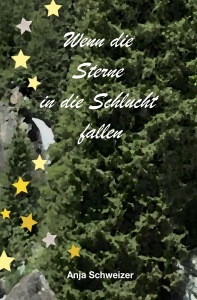 Cover von Wenn die Sterne in die Schlucht fallen