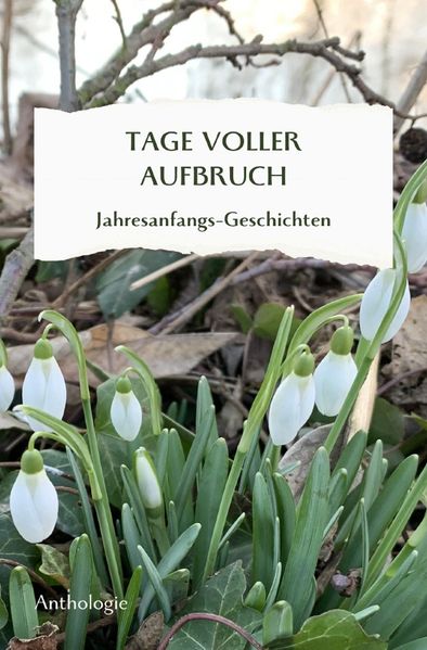 Cover von Monatsgeschichten/TAGE VOLLER AUFBRUCH – Jahresanfangsgeschichten