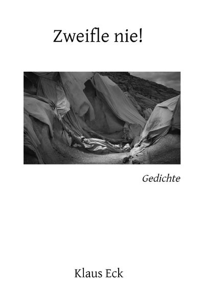 Cover von Zweifle nie!