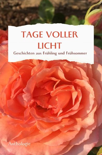 Cover von TAGE VOLLER LICHT