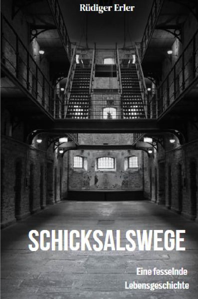 Cover von Schicksalswege