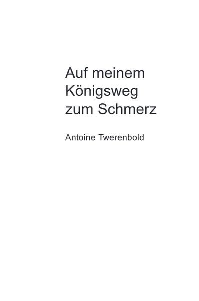 Cover von Auf meinem Königsweg zum Schmerz