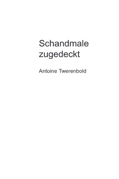 Cover von Schandmale zugedeckt