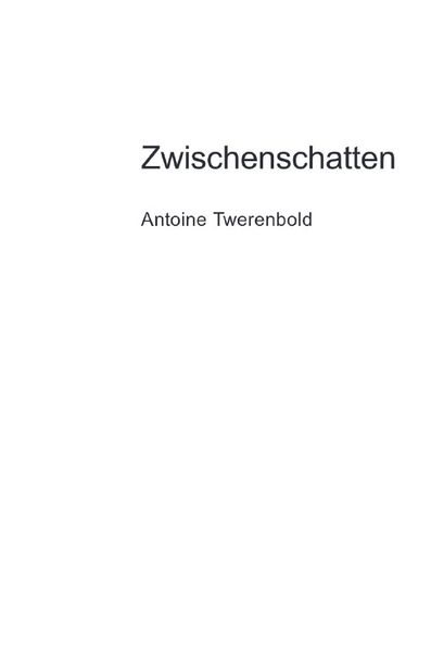 Cover von Zwischenschatten
