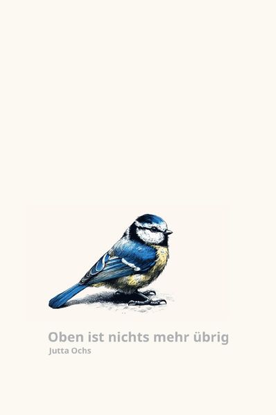 Cover von Oben ist nichts mehr übrig