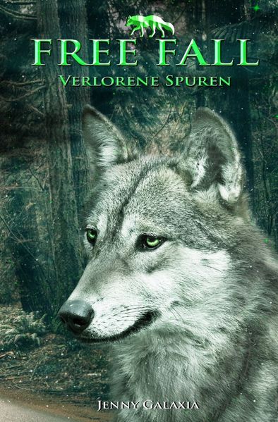 Cover von Free Fall/Free Fall – Verlorene Spuren