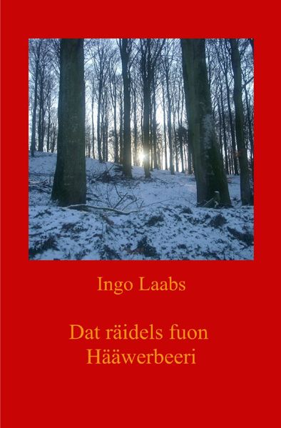Cover von Dat räidels fuon Hääwerbeeri – Das Rätsel von Haferberg