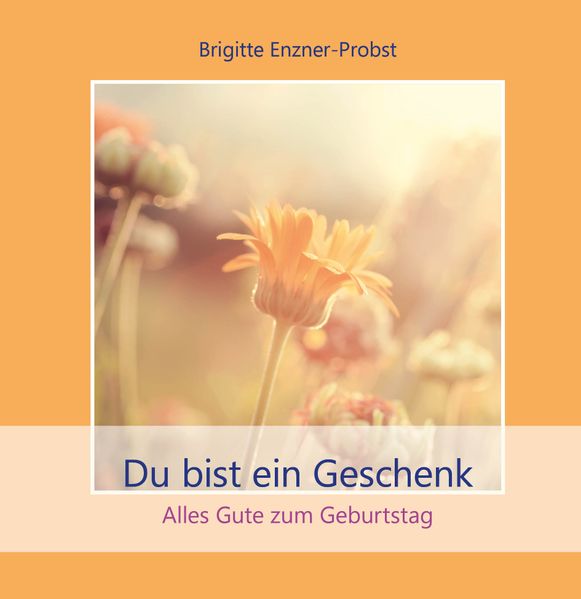 Cover von Du bist ein Geschenk
