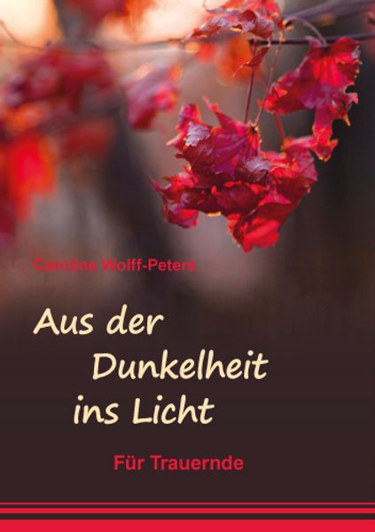 Cover von Aus der Dunkelheit ins Licht