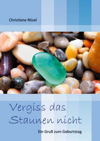 Cover von Vergiss das Staunen nicht