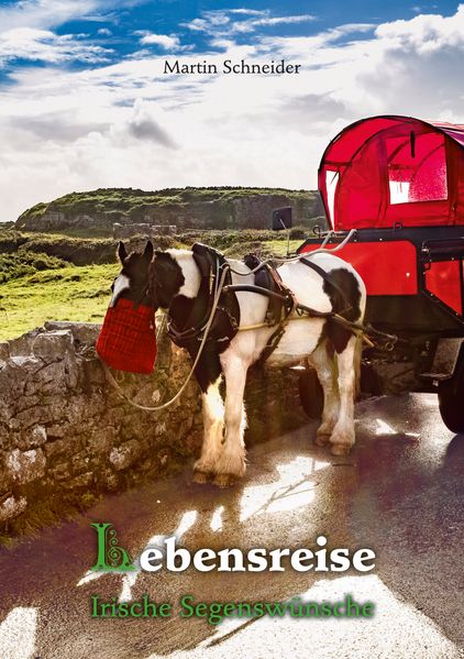 Cover von Lebensreise