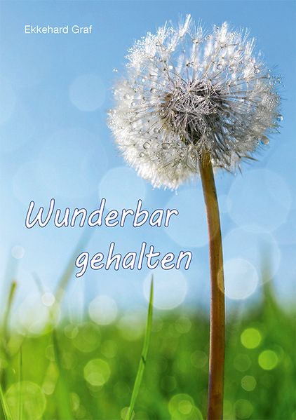 Cover von Wunderbar gehalten