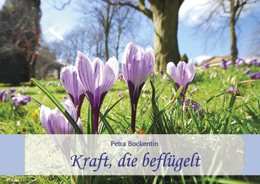 Cover von Kraft, die beflügelt