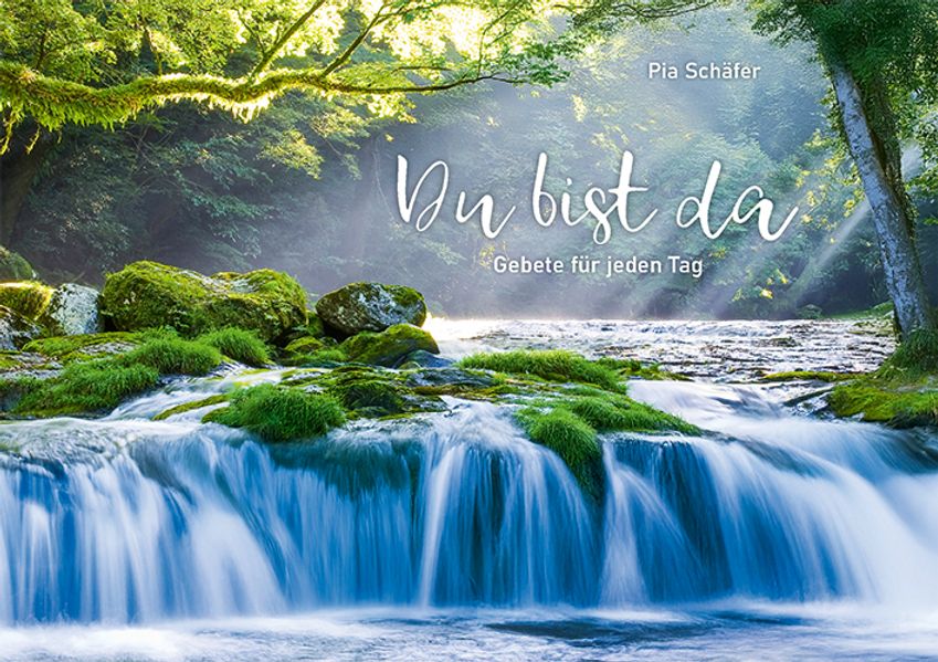 Cover von Du bist da