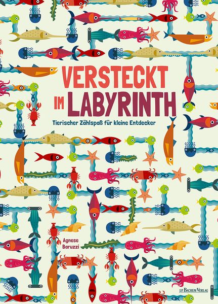Cover von Versteckt im Labyrinth