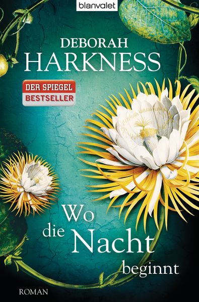 Cover von Wo die Nacht beginnt
