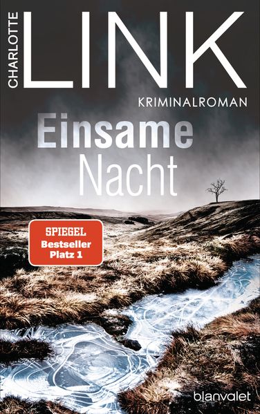 Cover von Einsame Nacht