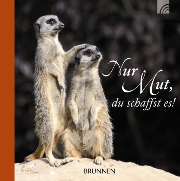 Cover von Nur Mut, du schaffst es!