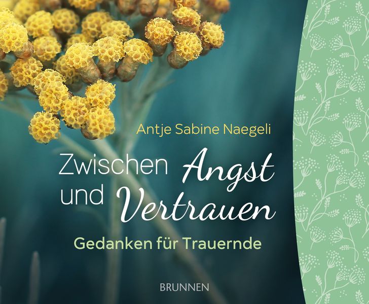 Cover von Zwischen Angst und Vertrauen