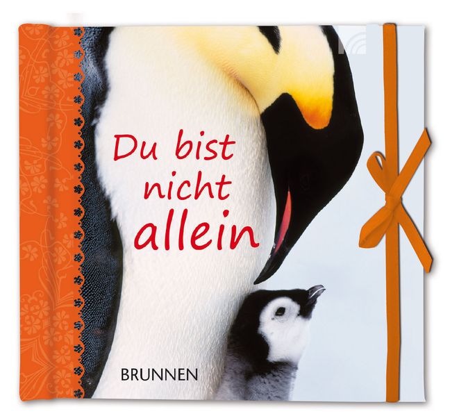 Cover von Du bist nicht allein